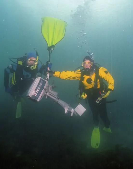 Service image 15