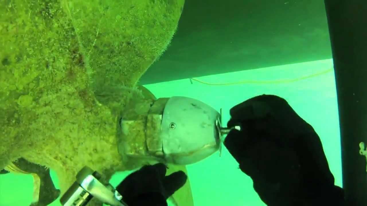 Service image 6